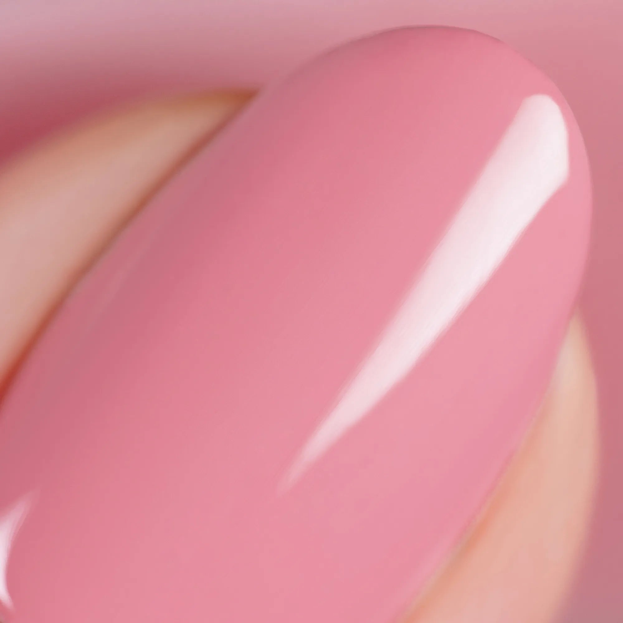 Puder (One Coater)