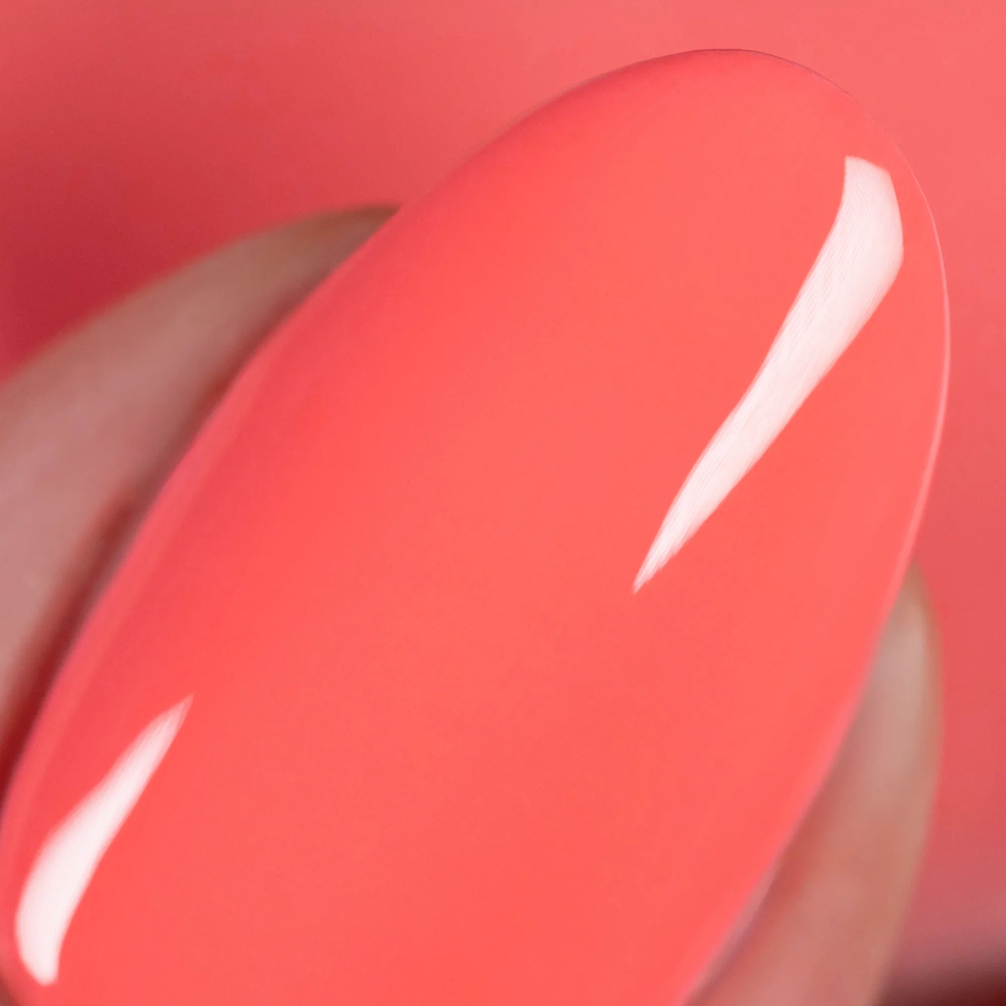 Guava Sunrise Duo