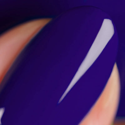 Pflaume (One Coater)